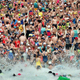 Image for article titled Time For a Swim!